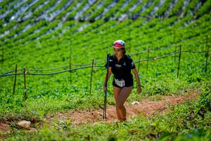 BIB: 
                            <button type="button" onclick="openModal(19164607)" class="btn btn-primary btn-sm float-right btn-popup" data-toggle="modal" data-target=".modal-high-quality">
                        <i class="fas fa-shopping-cart"></i> Add to Cart
                    </button>
                                            <button type="button" onclick="isThisMe(19164607, true)" class="btn btn-success btn-sm float-right btn-popup btn-isme hidden" data-toggle="tooltip" data-placement="bottom" title="นี่คือรูปของคุณใช่ไหม คลิกที่นี่เพื่อเอาเข้าอัลบั้ม">
                        <i class="fas fa-plus"></i> Add to album
                    </button>
                    <button type="button" onclick="isThisMe(19164607, false)" class="btn btn-warning btn-sm float-right btn-popup btn-isnotme hidden">
                        <i class="fas fa-ban"></i> Remove from album
                    </button>